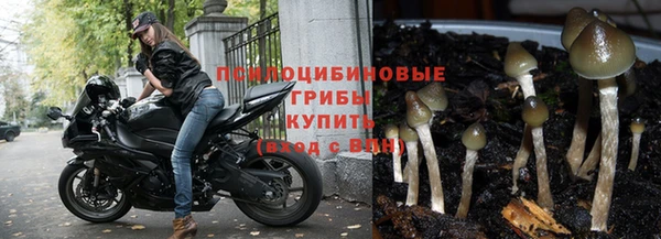 меф VHQ Бородино